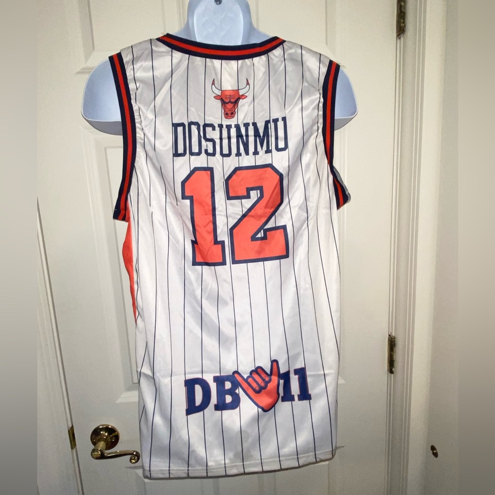 CHICAGO BULLS SGA PLAYER SERIES JERSEY. DOSUNMU. Brand new